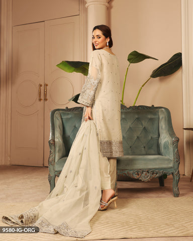 Embroidered Grey Organza Suit