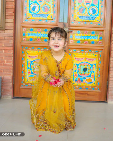 Kids Embroidered Net Suit