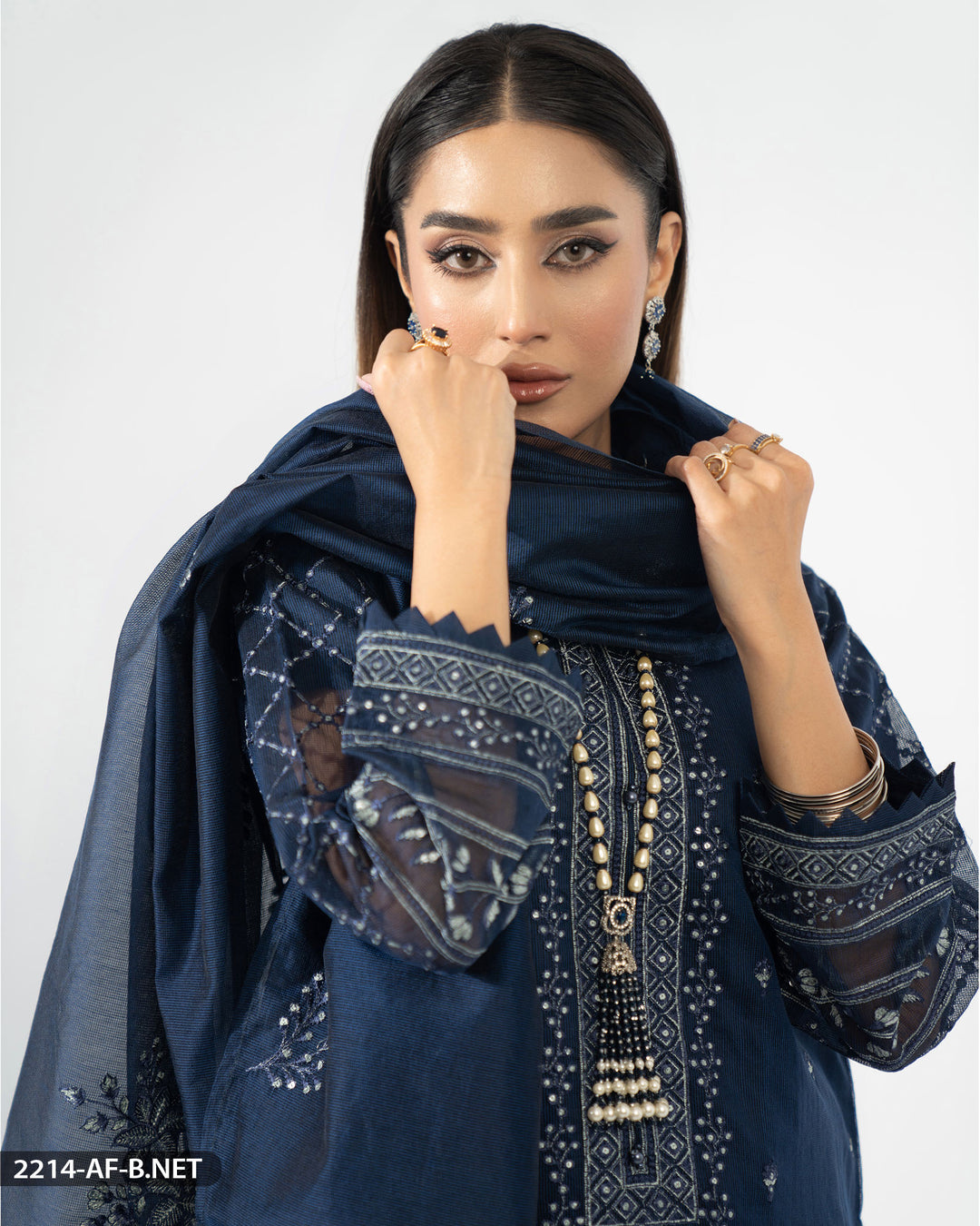 Embroidered Bori Net Suit | 2214-AF-B.NET