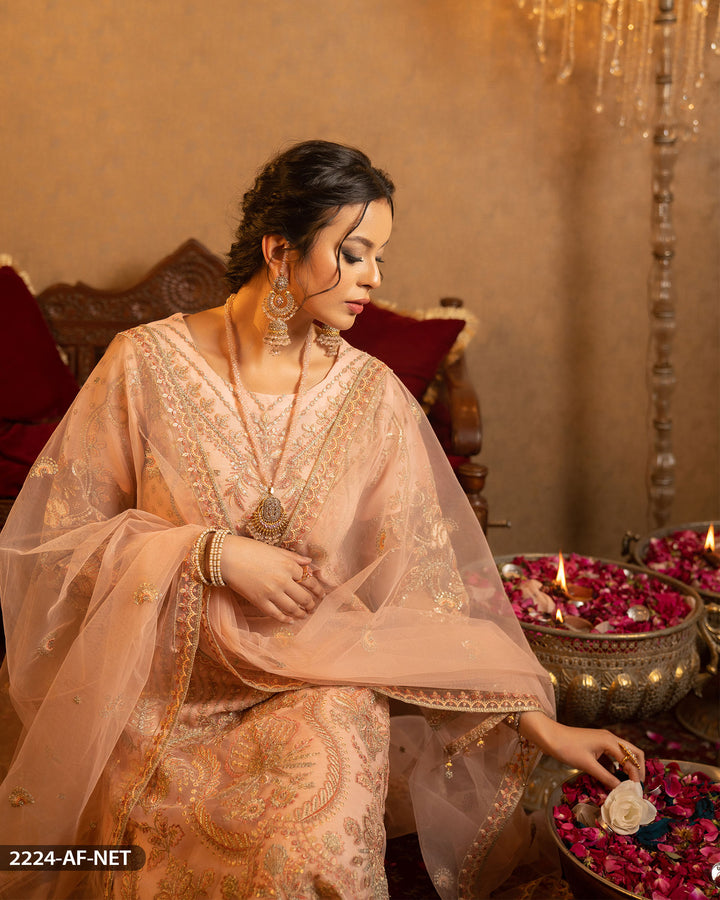 Embroidered Net Suit | 2224-AF-NT