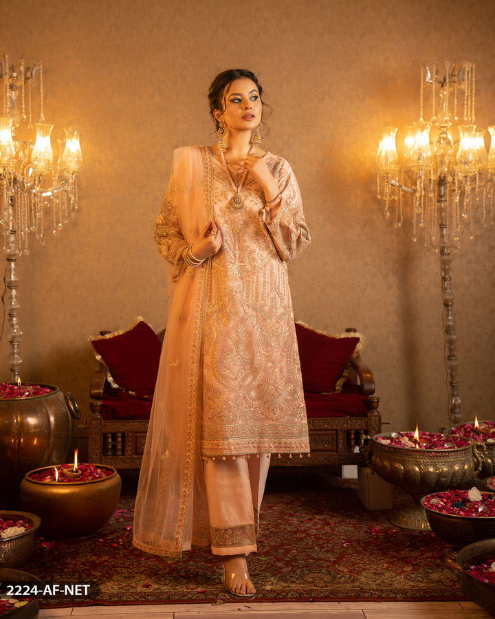 Embroidered Net Suit | 2224-AF-NT