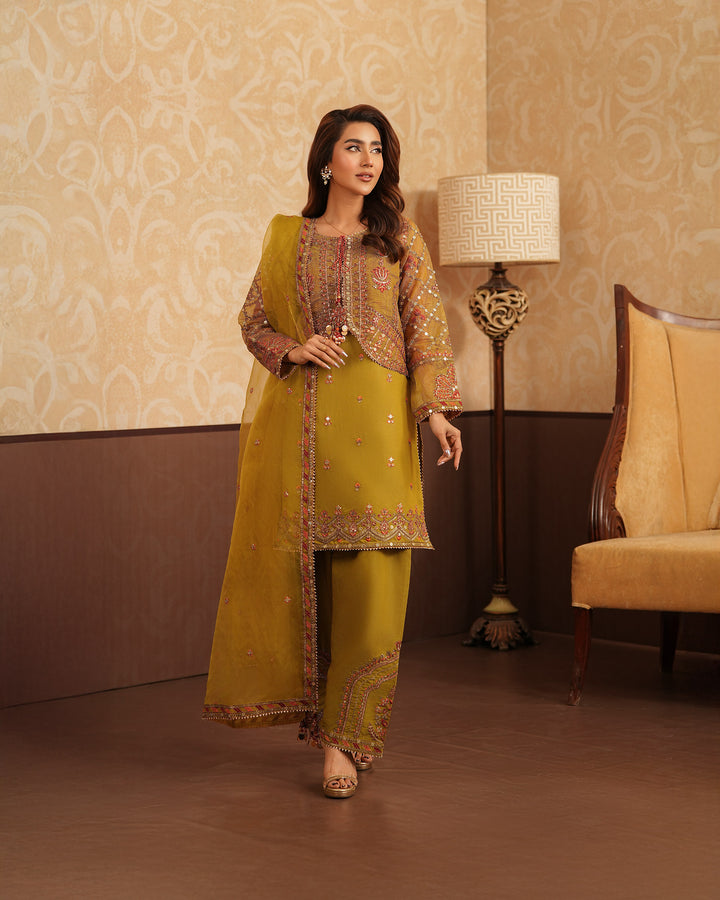 3-Piece Ready-to-Wear Organza Net Suit | 4078-SJ-ORZ - Sha Posh Textile