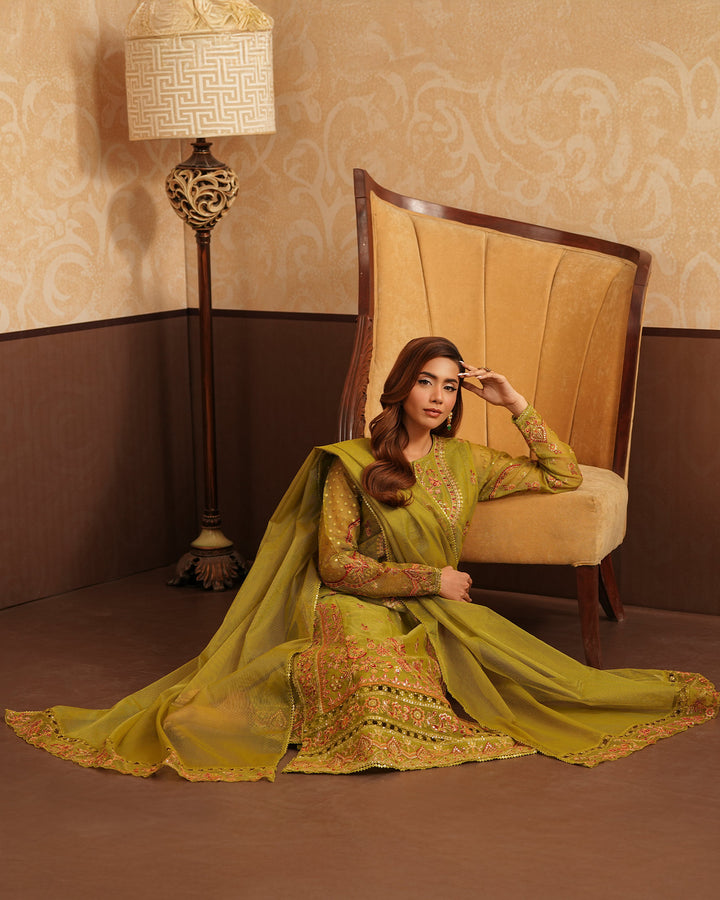 3-Piece Ready-to-Wear Organza Net Suit | 4096-SJ-ORZ - Sha Posh Textile