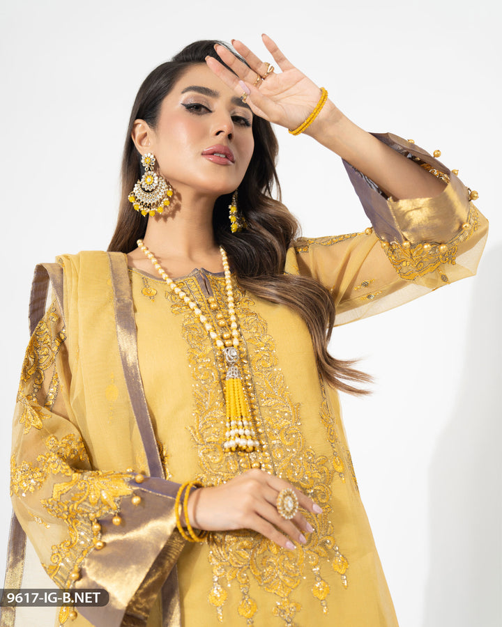 3 Piece Embroidered Bori Net Suit | 9617-IG-B.NET