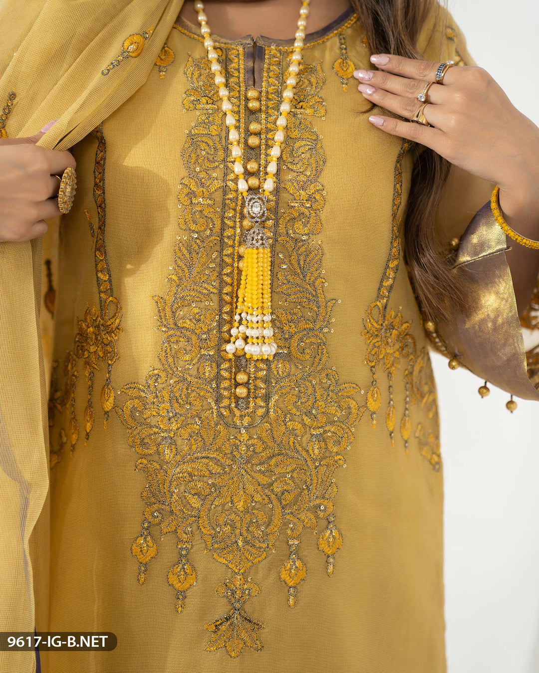 3 Piece Embroidered Bori Net Suit | 9617-IG-B.NET