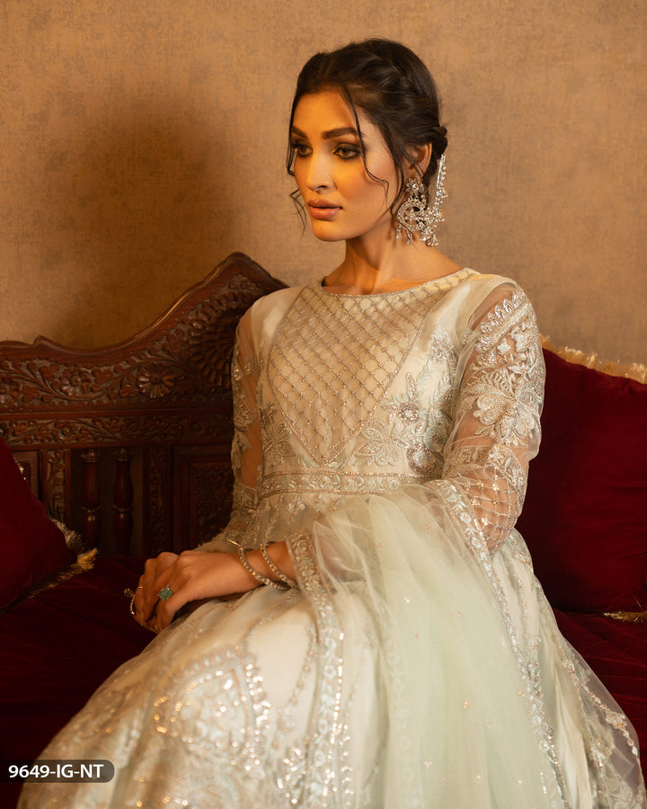 Embroidered Net Frock | 9649-IG-NT