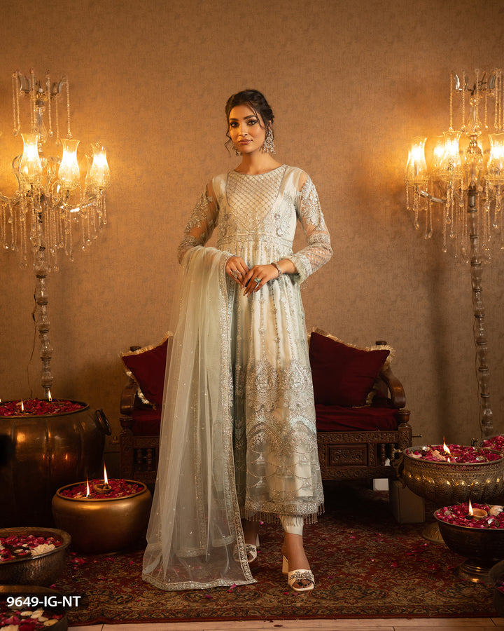 Embroidered Net Frock | 9649-IG-NT