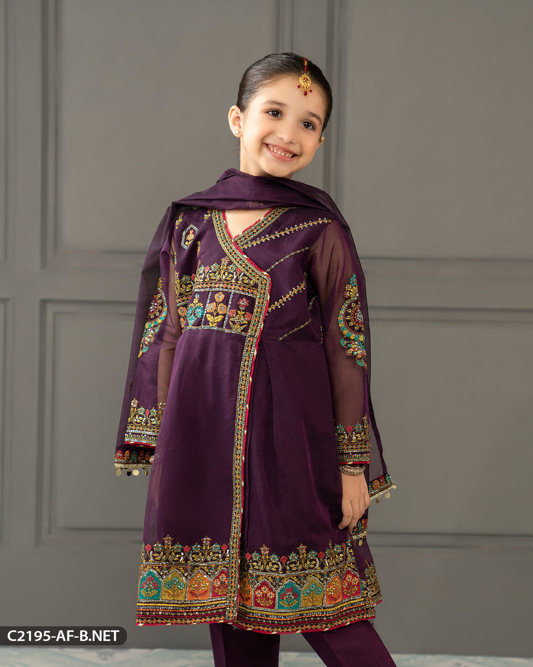 Kids Bori Net Embroidered Suit | 2195-AF-B.NET