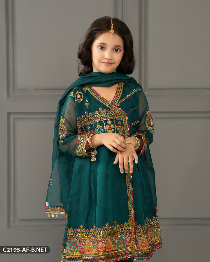 Kids Bori Net Embroidered Suit | 2195-AF-B.NET