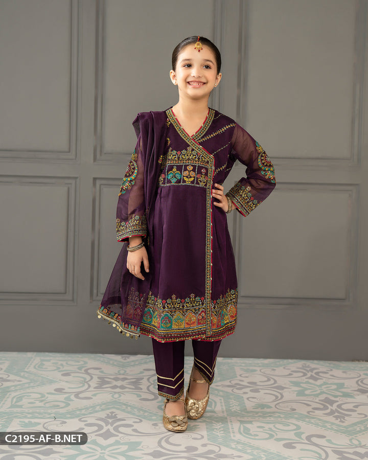 Kids Bori Net Embroidered Suit | 2195-AF-B.NET