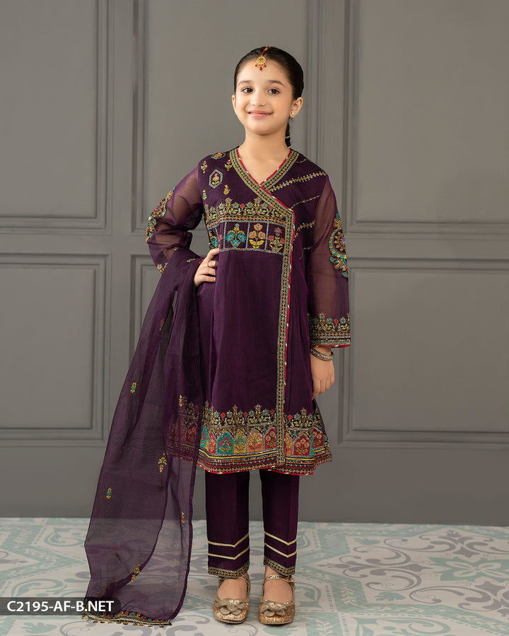 Kids Bori Net Embroidered Suit | 2195-AF-B.NET