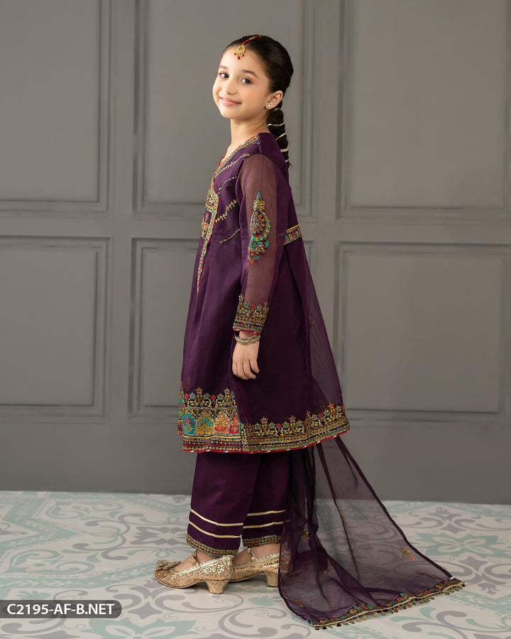 Kids Bori Net Embroidered Suit | 2195-AF-B.NET