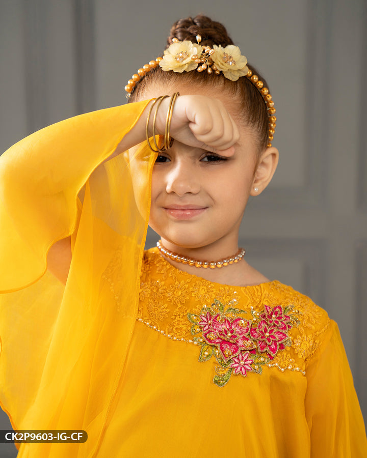 Kids Embroidered Chiffon Frock | 9603-IG-CF