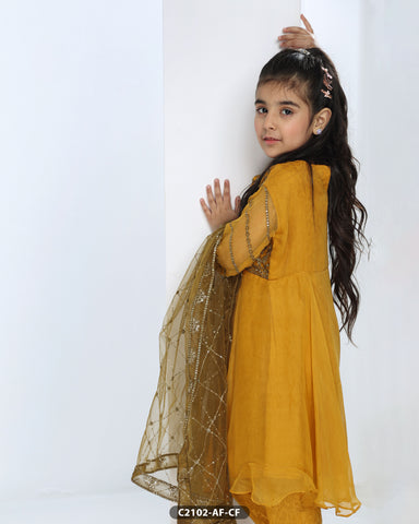 Kids 3 Piece Chiffon Embroidered Suit