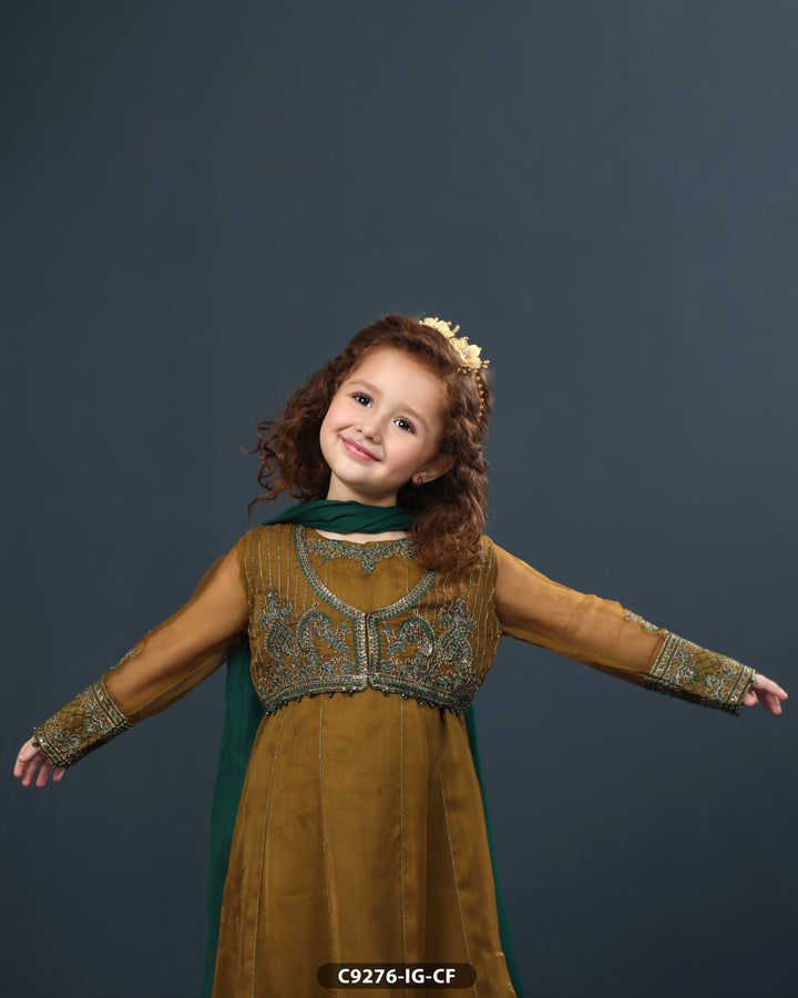 Kids Chiffon Embroidered Frock | 9276-IG-CF