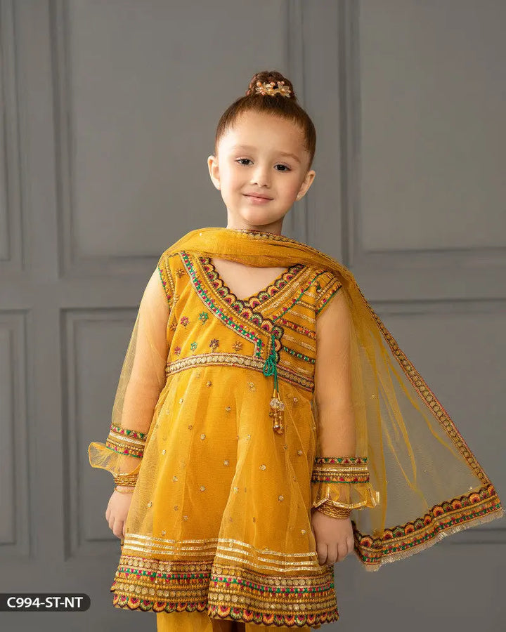 Kids Embroidered  Net Frock | 994-ST-NT ShaPosh Textile