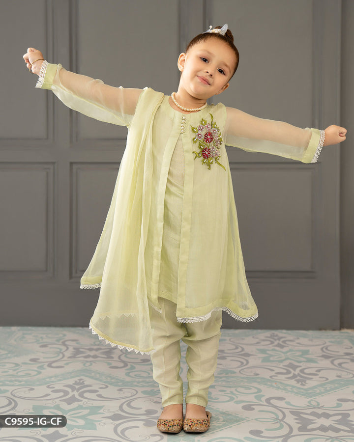 Kids Embroidered Chiffon Frock | 9595-IG-CF